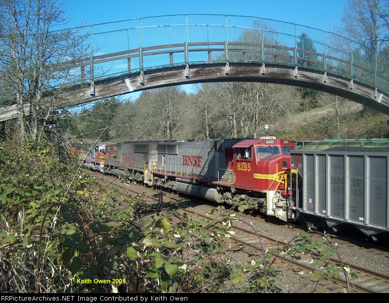 Northbound Coal